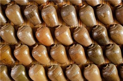 策略模拟《好莱坞动物》将于明年发售 预告放出