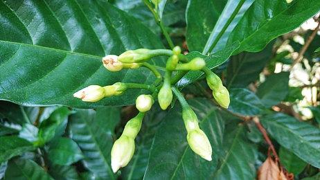 《守望先锋2》宣布与韩国流行女团Le Sserafim联动